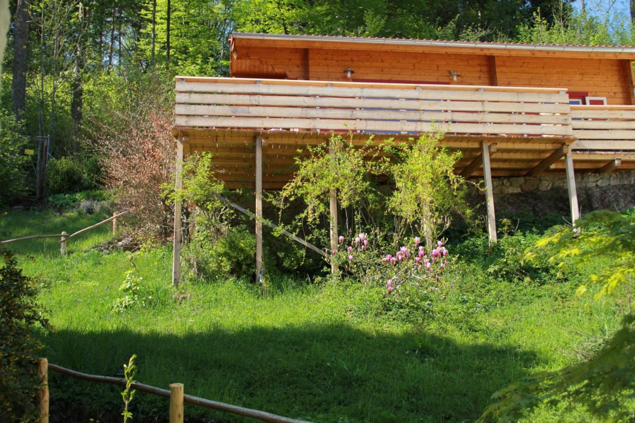 Blockhaus Saeuling - Haus Elise Apartments Füssen Exteriér fotografie